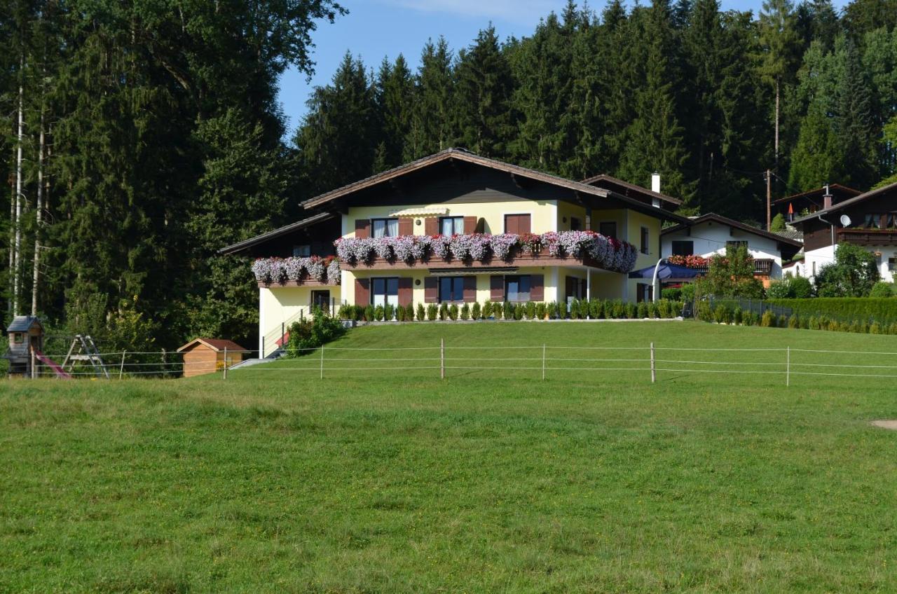 Am Randersberg - Wohnung Nr 2 Grossgmain Exterior foto